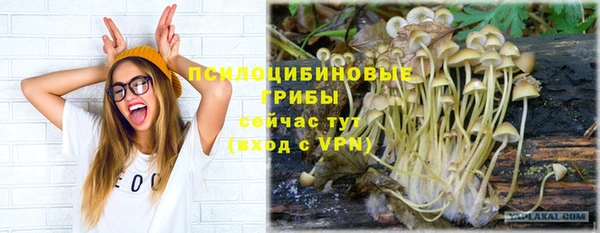 дурь Володарск