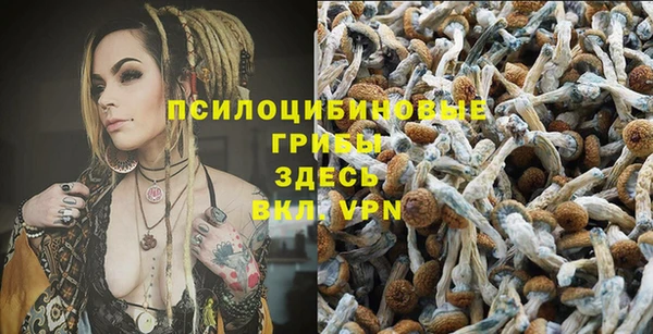 винт Сосновый Бор