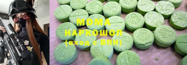 сатива Бородино