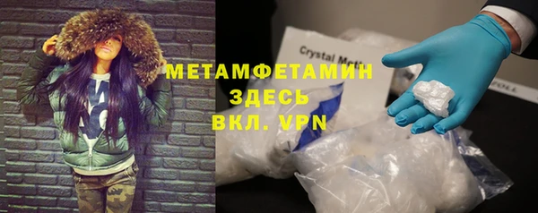 сатива Бородино